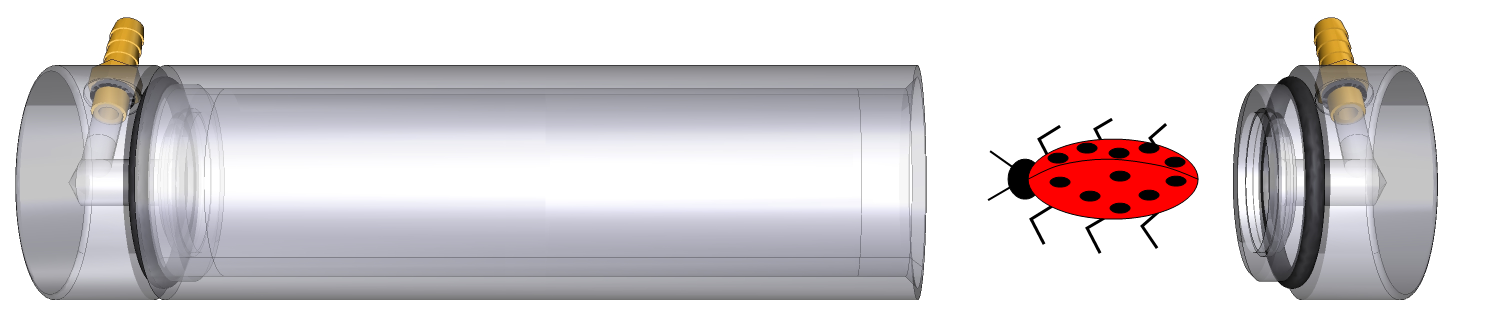 Place the sample in the insect chamber