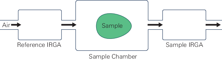 An open gas exchange system with sample and rference IRGAs, and a sample to be measured.