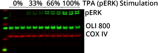 Membrane Data