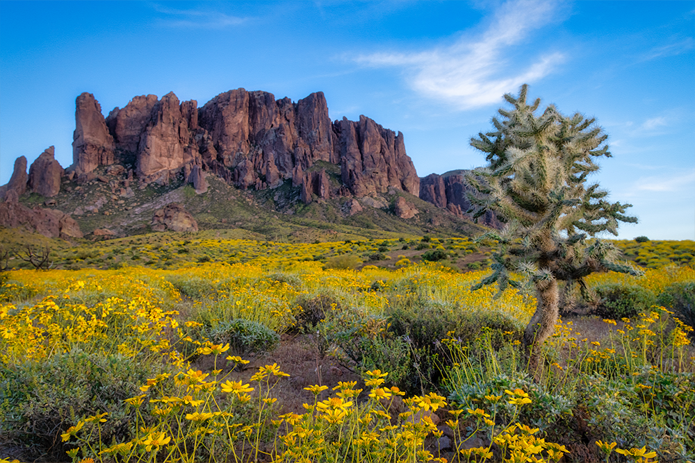 Tucson, Arizona landscape
