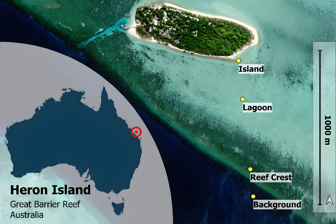 Map of Heron Island, Great Barrier Reef, showing flight sampling areas and measurements.