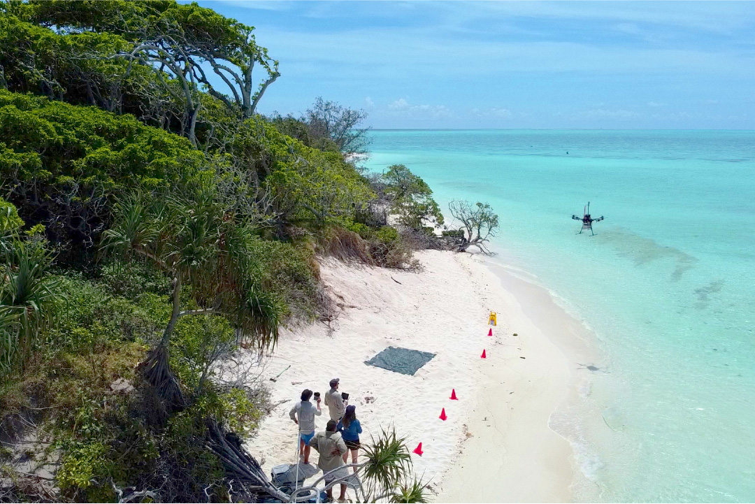 Drone take-off from the beach at Shark Bay, Heron Island.