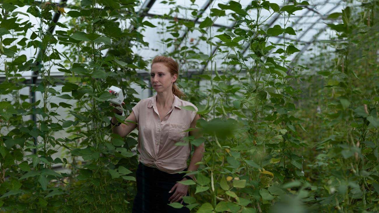 LI-600 in greenhouse