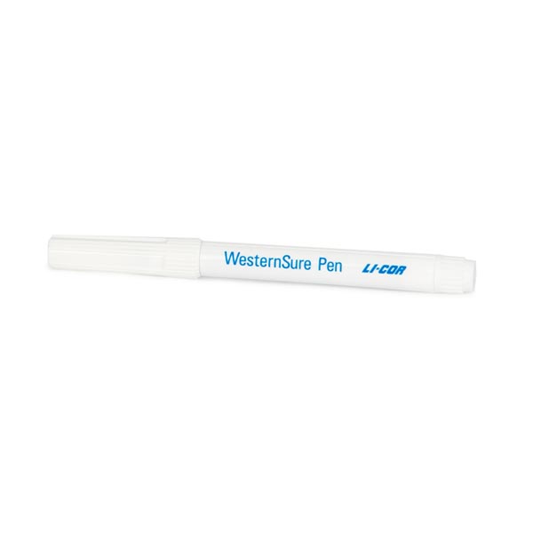 WesternSure® Pen for Visible Protein Ladders | LICORbio