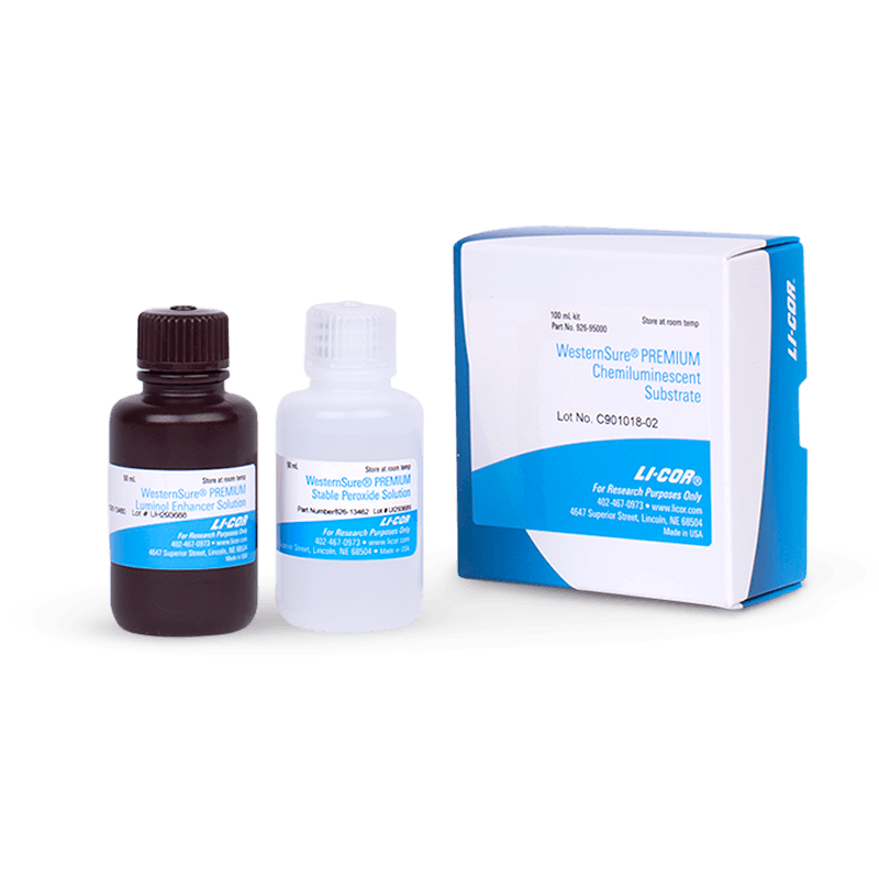 Detect Sub-Picogram Protein Levels with WesternSure PREMIUM.